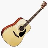 Alvarez PD100S Acoustic Guitar (Standard)