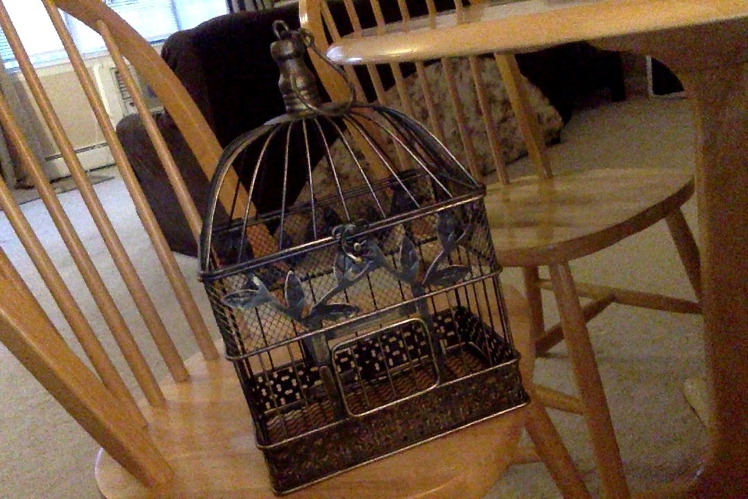 Vintage Bird Cage, Rectangular, 14 in. & 17 in., Black & Gold, Set of 2