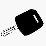 Arnold OEM-725-1745 Tractor Ignition Key...