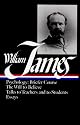 William James : Writings 1878-1899 : Psychology, Briefer Course / The Will to Believe / Talks to Teachers and Students / Essays (Library of America)