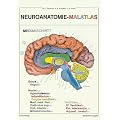Neuroanatomie - Malatlas