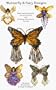 Butterfly & Fairy Designs