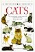 DK Handbooks: Cats