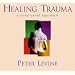 Healing Trauma: Restoring the Wisdom of the Body