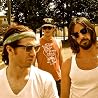 Image of The Whigs
