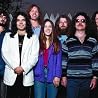 Image of Rossington Collins Band