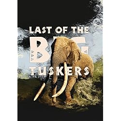 Last Of The Big Tuskers [DVD]