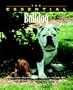 The Essential Bulldog