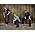 Thumbnail image of Rascal Flatts