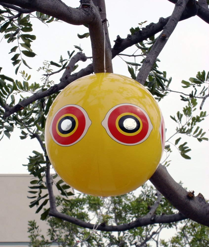 Bird B Gone Woodpecker Deterrent Kit , New, Free Shipping eBay