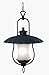 70224EP - Hunter / Kenroy Pastoral Medium Hanging Lantern