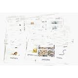 Zoology3-PartReadingCardSet(18packets)