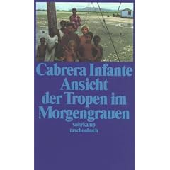 Ansicht der Tropen im Morgengrauen.
