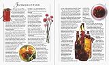 Bottling, Pickling and Preserving (DK Living) by Dorling Kindersley Publishers Ltd
