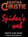 Spider's Web