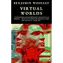 Virtual Worlds: A Journey in Hype and Hyperreality (Penguin Science)