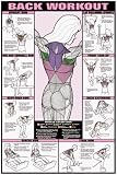 Back Workout Fitness Chart (Co-Ed)