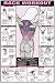 Back Workout Fitness Chart (Co-Ed)