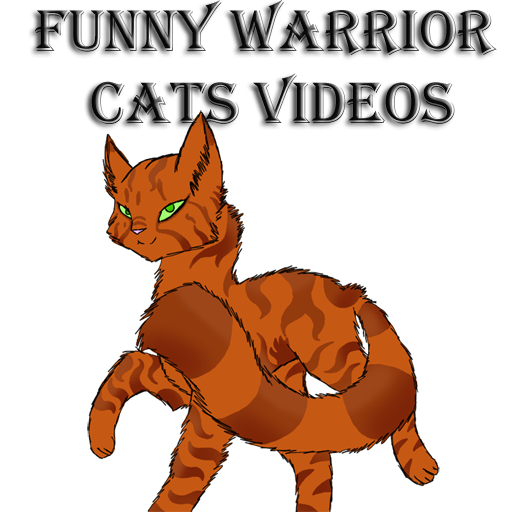 Funny Warrior Cats Videos
