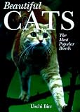Beautiful Cats: The Most Popular Breeds