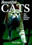 Beautiful Cats: The Most Popular Breeds