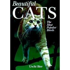 Beautiful Cats: The Most Popular Breeds