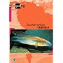 South American Cichlids I (AQUALOG-Reference Books)
