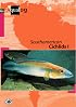 South American Cichlids I (AQUALOG-Reference Books)
