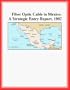 Fiber Optic Cable in Mexico: A Strategic Entry Report, 1997 (Strategic Planning Series)