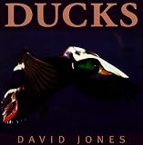 Ducks