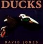 Ducks