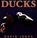 Ducks