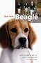 The New Beagle : A Dog for All Seasons