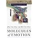 Molecules of Emotion: Why You Feel the Way You Feel