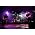 Thumbnail image of Them Crooked Vultures