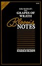John Steinbeck's the Grapes of Wrath (Bloom's Notes Series)