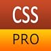 CSS Pro Quick Guide