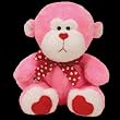 JUNGLELOVE The love monkey Ty Beanie Baby - Valentine