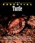 The Essential Turtle