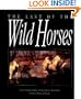 The Last of the Wild Horses