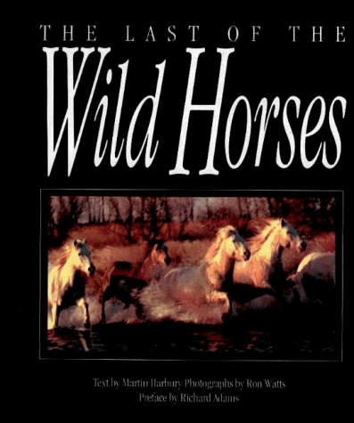 The Last of the Wild Horses