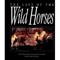 The Last of the Wild Horses