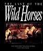The Last of the Wild Horses