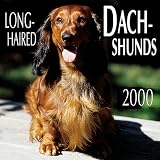 Long-Haired Dachshunds 2000 Calendar