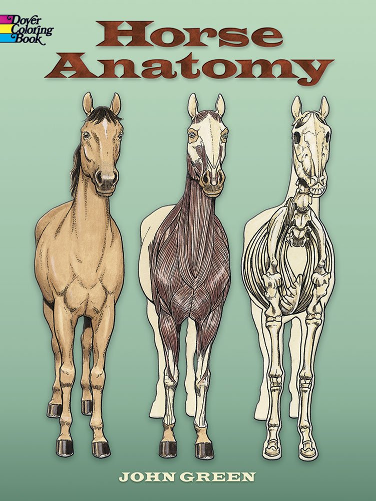 Horse Anatomy (Dover Nature Coloring Book): John Green ... Horse Anatomy (Dover Nature Coloring Book): John Green ...