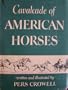 Cavalcade of American horses