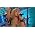 Thumbnail image of Grace Potter & the Nocturnals