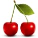 Food Calories List