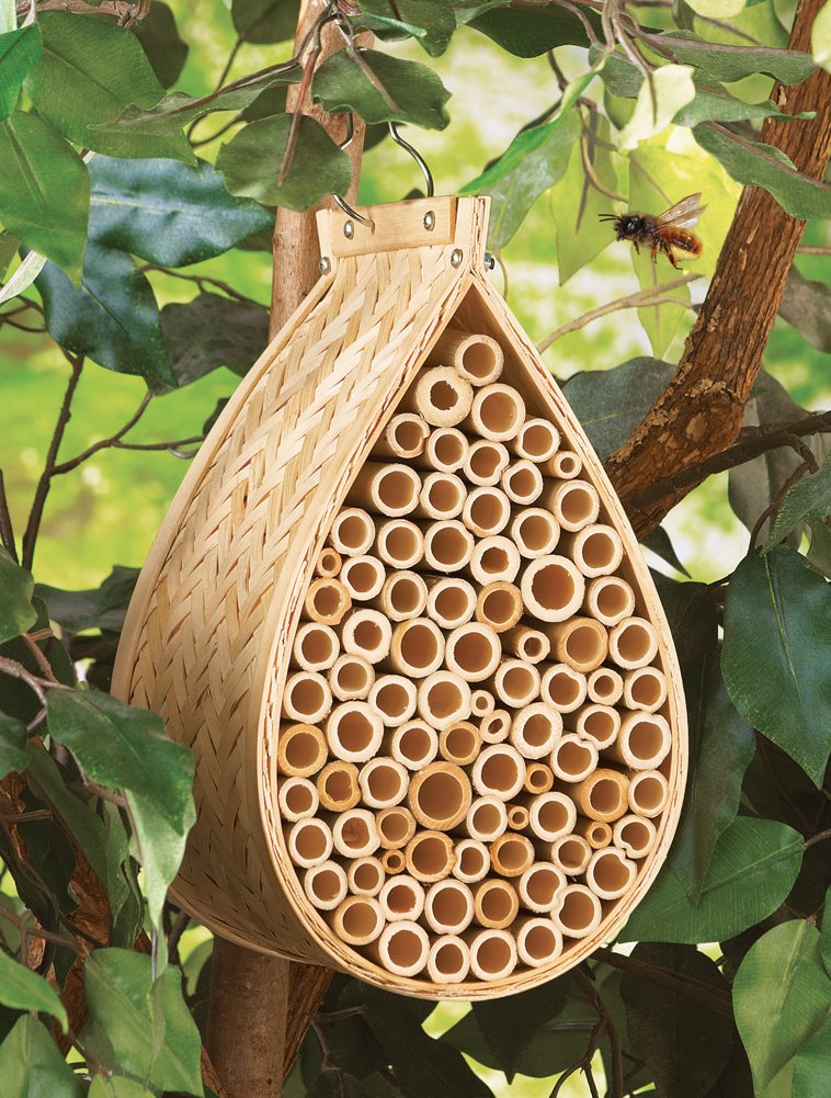 Amazon.com : Bamboo Mason Bee Hive House : Patio, Lawn & Garden Amazon.com : Bamboo Mason Bee Hive House : Patio, Lawn & Garden