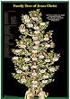 Adam to Jesus - Biblical Family Tree Poster